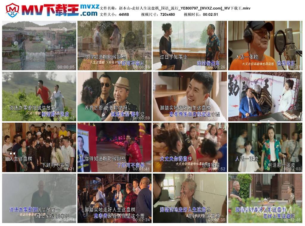 赵本山-走好人生这盘棋_国语_流行_YE800797